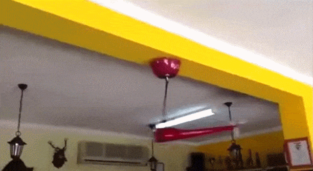 gifs_07.gif
