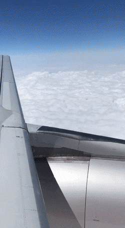 gifs_07.gif