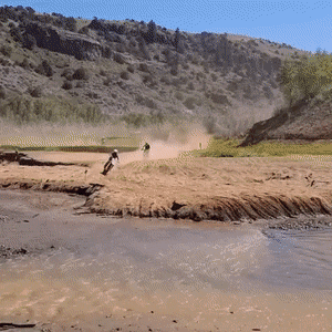 gifs_07.gif