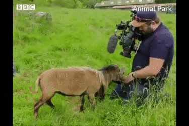 gifs_08.gif