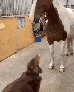 gifs_08.gif