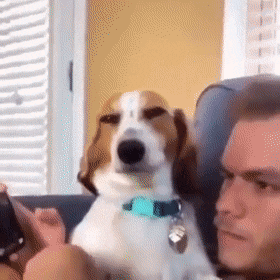 gifs_08.gif