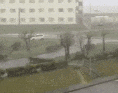 gifs_08.gif