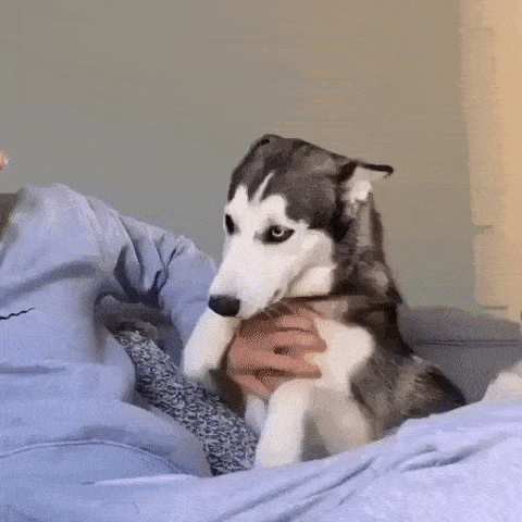 gifs_08.gif