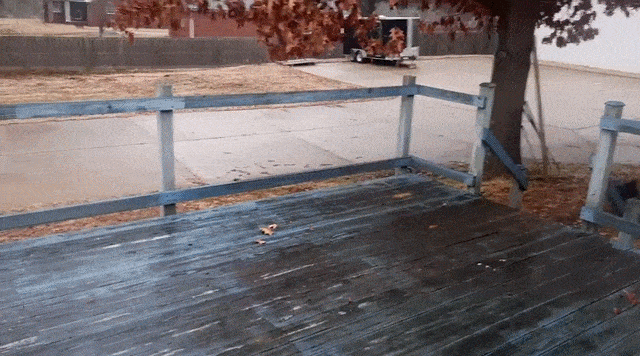 gifs_08.gif