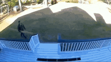 gifs_08.gif