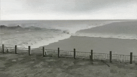 gifs_08.gif