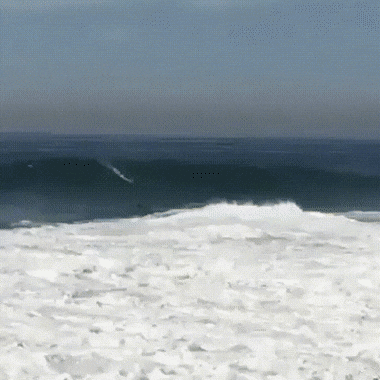 gifs_08.gif