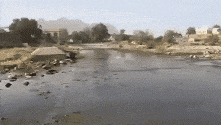 gifs_08.gif