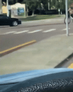 gifs_08.gif