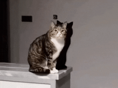 gifs_08.gif