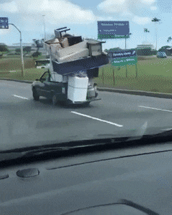 gifs_09.gif