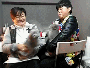 gifs_09.gif