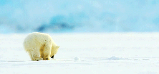 gifs_09.gif