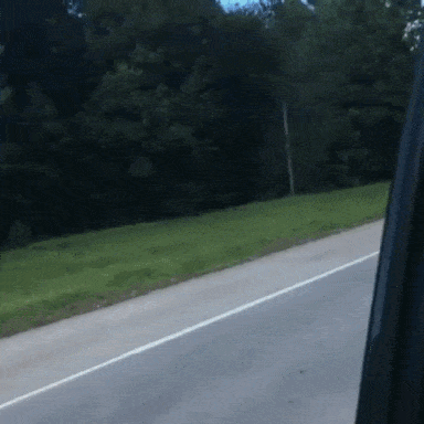 gifs_09.gif