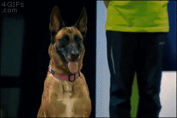 gifs_09.gif