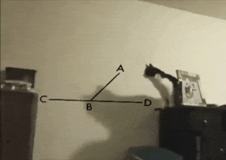 gifs_09.gif