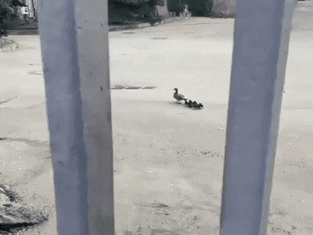 gifs_09.gif