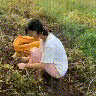 gifs_09.gif