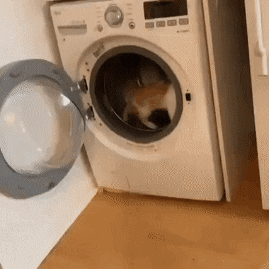gifs_09.gif