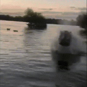 gifs_09.gif