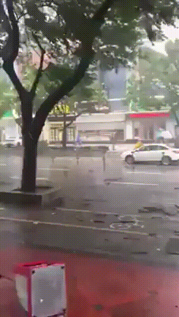 gifs_10.gif