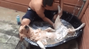 gifs_10.gif