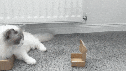 gifs_10.gif