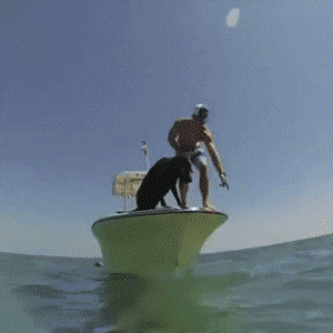 gifs_10.gif