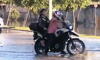 gifs_10.gif