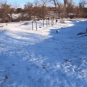 gifs_10.gif