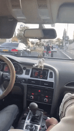 gifs_10.gif