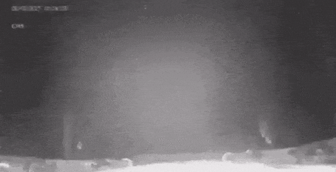 gifs_10.gif