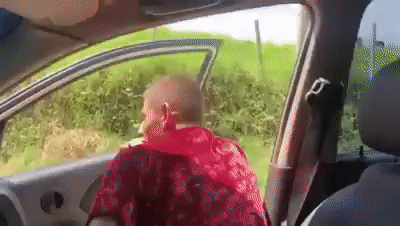 gifs_11.gif
