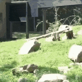 gifs_11.gif