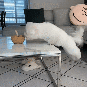 gifs_11.gif