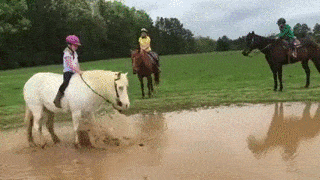 gifs_11.gif