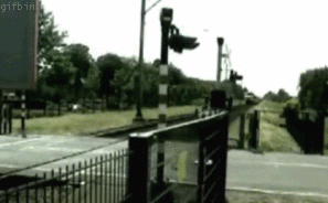 gifs_11.gif