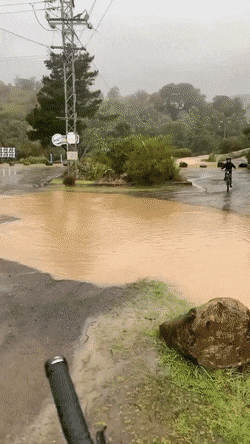gifs_11.gif