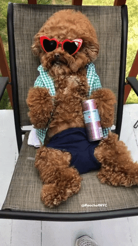 gifs_11.gif