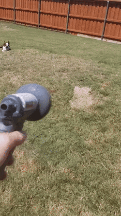 gifs_11.gif