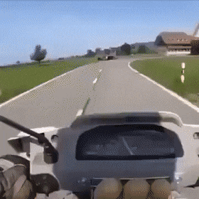 gifs_11.gif