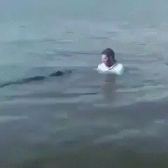 gifs_11.gif