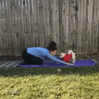 gifs_12.gif