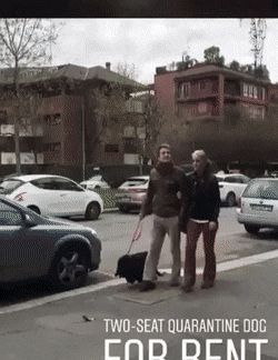gifs_12.gif