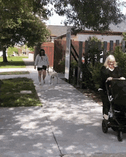gifs_12.gif