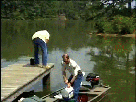 gifs_12.gif
