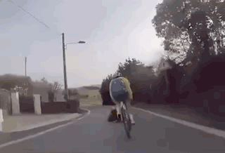 gifs_12.gif
