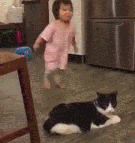 gifs_12.gif