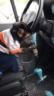 gifs_13.gif